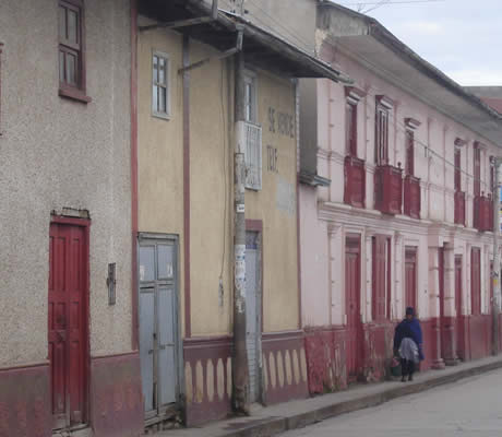 casas típicas en junín