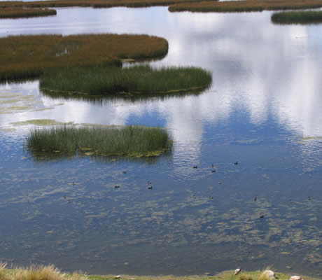 lagos de junin