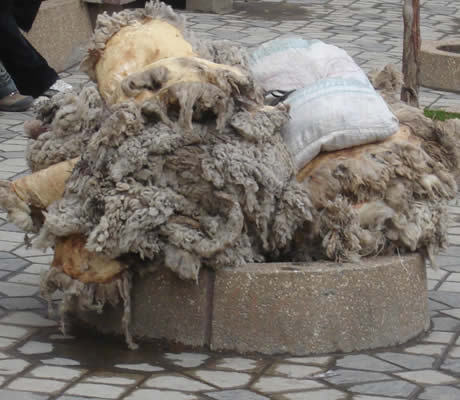 pieles de ovinos llamas vicunas en junín